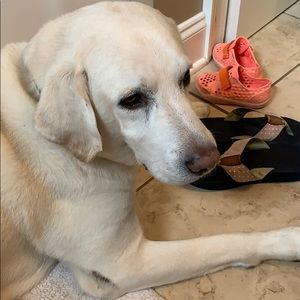 Meet your Posher, Aimee